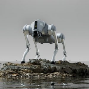Unitree Go2 Roboterhund