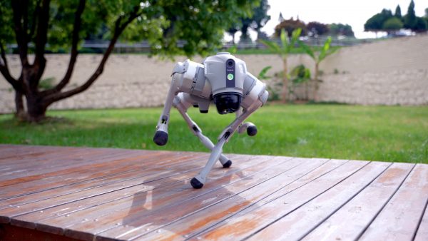 Unitree Go2 Outdoor Unitree Go2 Roboterhund Outdoor